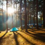 Beyond the Campfire: A Guide to Creating Lasting Memories Outdoors