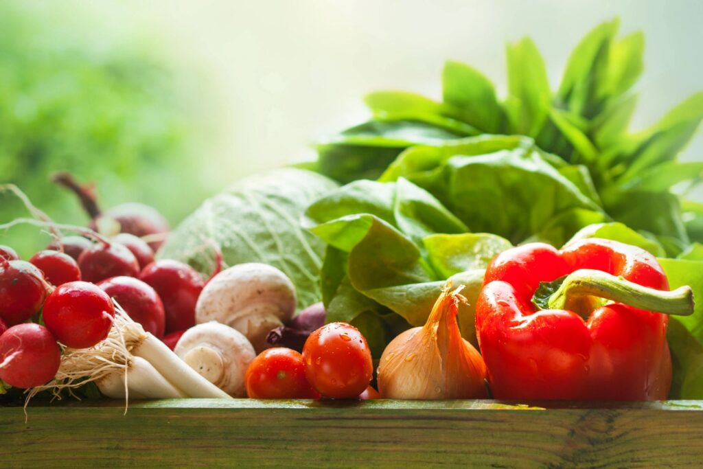 Plant-Powered Living: Discover the Benefits of a Plant-Based Diet