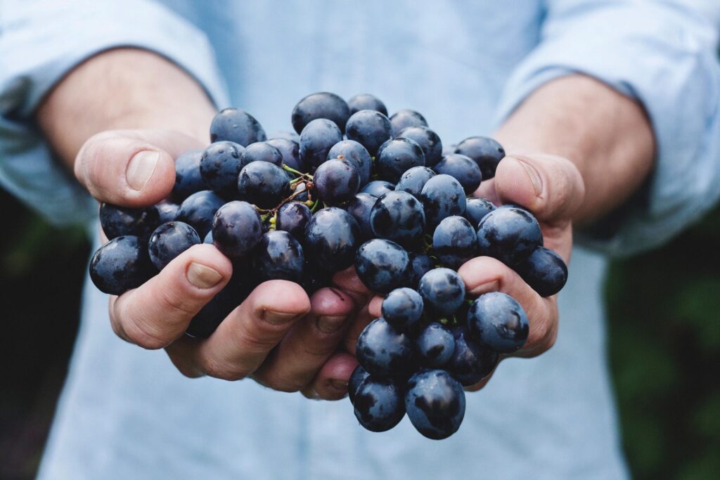 From Organic to Microwaves: Debunking Your Favorite Food Myths