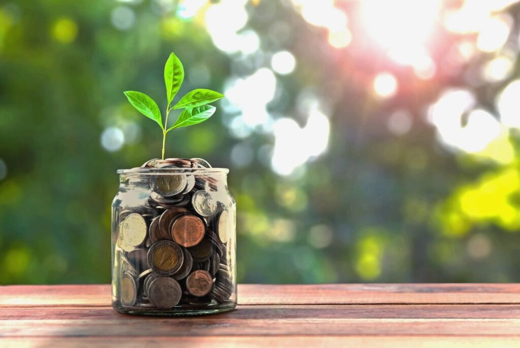 Live Green, Save Green: Your Guide to Sustainable Budgeting