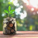 Live Green, Save Green: Your Guide to Sustainable Budgeting