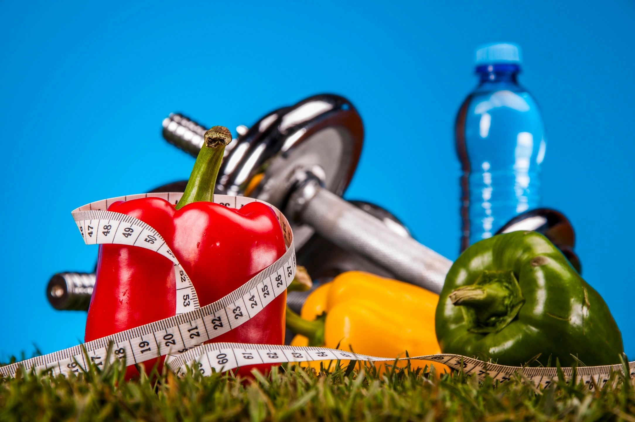 The Role of Nutrition in Fitness: Fueling Your Body for Performance