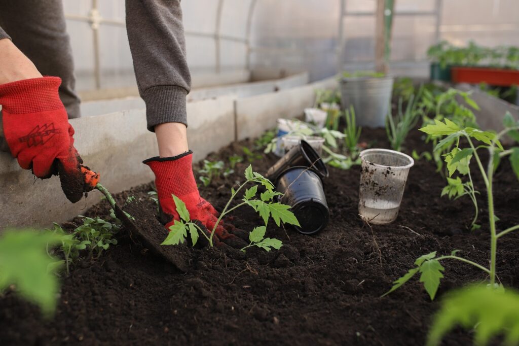 Dig In! A Beginner’s Guide to Growing Your Own Garden