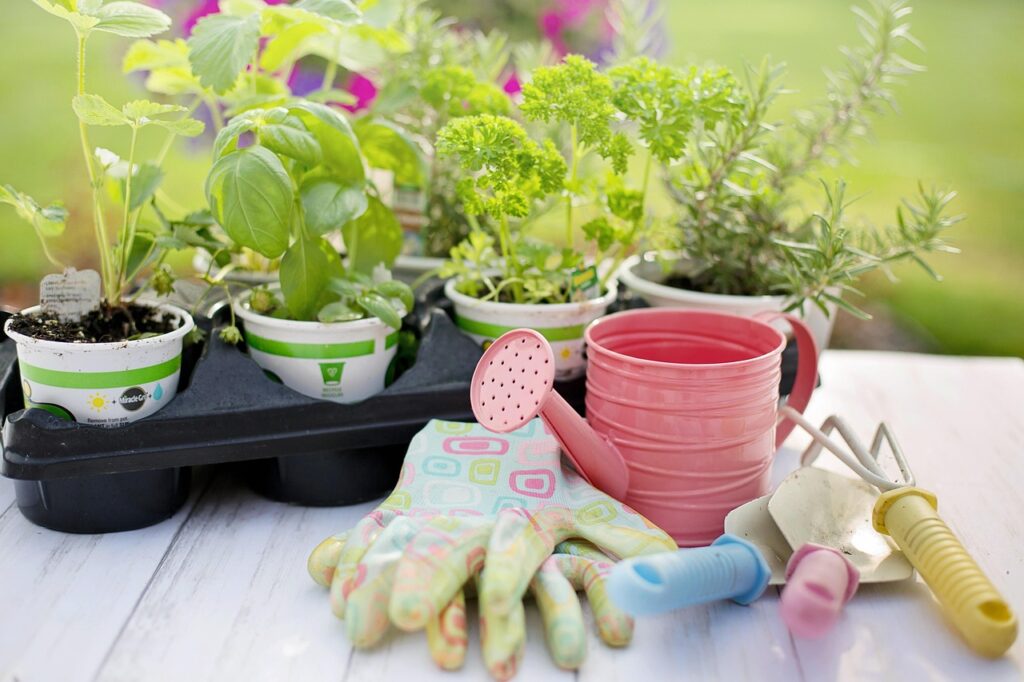 The Secret to Thriving Plants: How Raised Bed Gardening Can Boost Your Garden’s Health